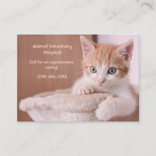 Orange Kitten Pet Care Termin Visitenkarte (Vorderseite)