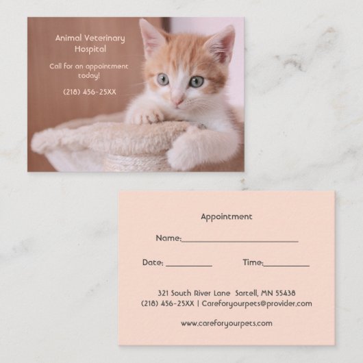 Orange Kitten Pet Care Termin Visitenkarte (Vorne/Hinten)