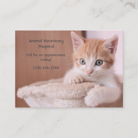 Orange Kitten Pink Pet Care Termin Visitenkarte (Vorderseite)