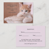 Orange Kitten Pink Pet Care Termin Visitenkarte (Vorne/Hinten)