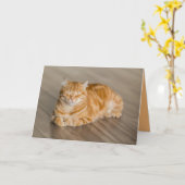 Orange Kitty Cat Niedliche individuell anpassbare  Karte (Gelbe Blume)