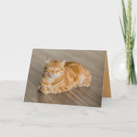 Orange Kitty Cat Niedliche individuell anpassbare
