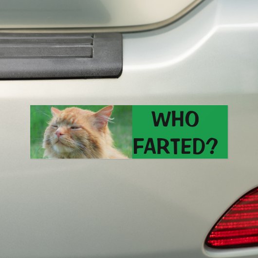 Orange Kitty fragt, wem Farted? Autoaufkleber (Auf Auto)