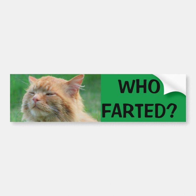 Orange Kitty fragt, wem Farted? Autoaufkleber (Vorne)