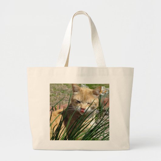 Orange Kitty gibt Raspberry Tote Bag Jumbo Stoffbeutel (Vorne)