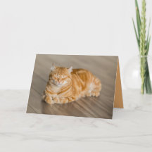 Orange Kitty Katze Süße Anpassbare Karte