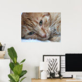Orange Kitty Poster (Heimbüro)