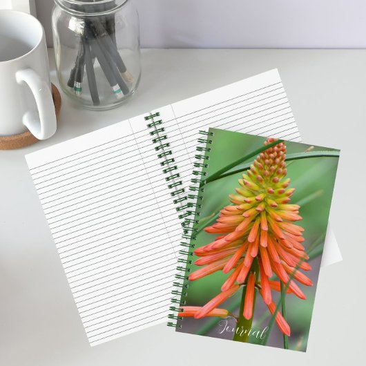 Orange Kniphofia Bloom Floral Notizblock