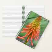 Orange Kniphofia Bloom Floral Notizblock (Innen)
