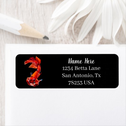 Orange Koi Kampffisch Rücksendeadresse (Insitu)