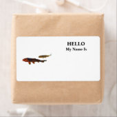 Orange Koi und Gold Koi (Insitu)