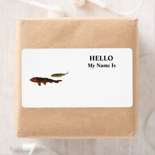 Orange Koi und Gold Koi (Insitu)