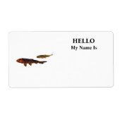 Orange Koi und Gold Koi (Vorne)