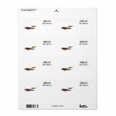 Orange Koi und Gold Koi (Vorne)