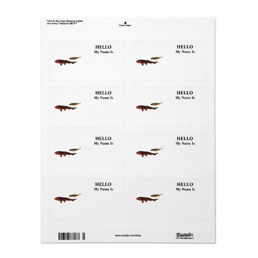 Orange Koi und Gold Koi (Vorne)