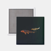 Orange Koi und Gold Koi Magnet (Vorderseite/Rückseite)