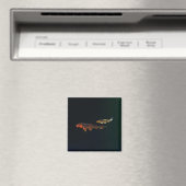 Orange Koi und Gold Koi Magnet (In Situ (Geschirrspüler))