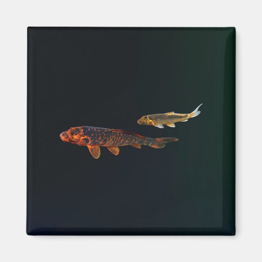 Orange Koi und Gold Koi Magnet (Vorne)