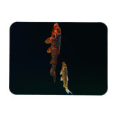 Orange Koi und Gold Koi Magnet (Horizontal)