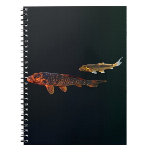 Orange Koi und Gold Koi Notizblock (Vorderseite)