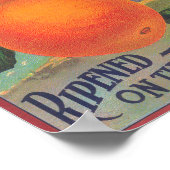 Orange LabelVenice Cove, CA Poster (Ecke)