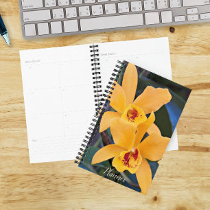 Orange Laeliocattleya Orchids Planer