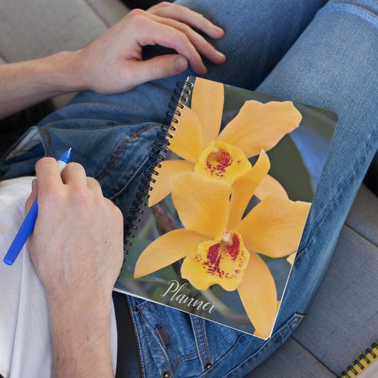 Orange Laeliocattleya Orchids Planer
