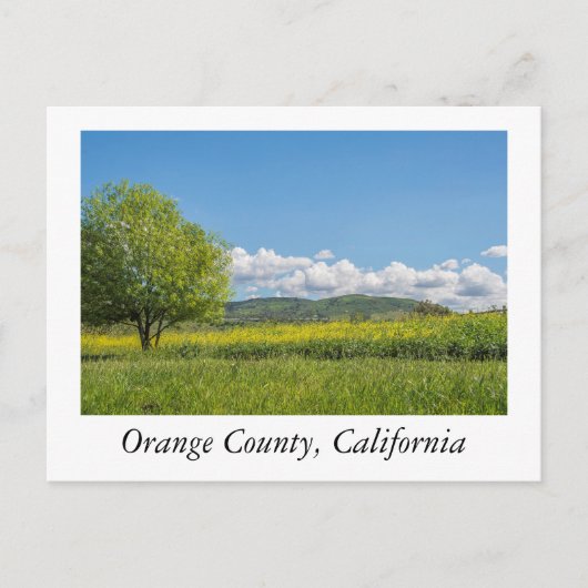 Orange Landkreis, Kalifornien Postkarte (Vorderseite)