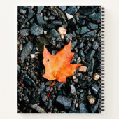 Orange Leaf auf Black Rocks Spiral Notebook Notizblock (Rückseite)