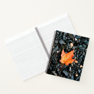 Orange Leaf auf Black Rocks Spiral Notebook Notizblock