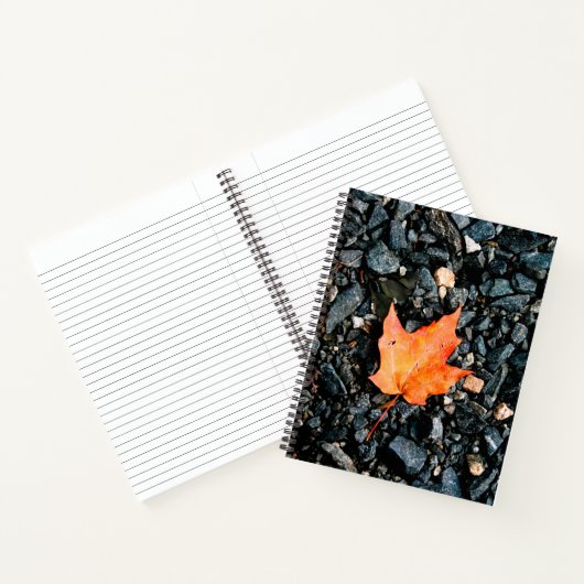Orange Leaf auf Black Rocks Spiral Notebook Notizblock (Innenseite)
