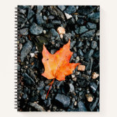 Orange Leaf auf Black Rocks Spiral Notebook Notizblock (Vorderseite)
