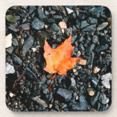 Orange Leaf Getränkeuntersetzer (Vorderseite)