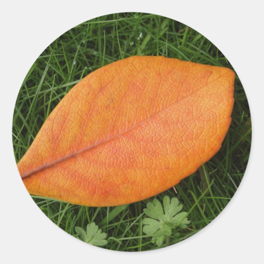 Orange Leaf Sticker (Vorderseite)