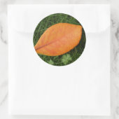 Orange Leaf Sticker (Tasche)