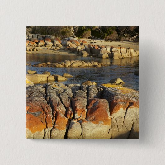 Orange Lichen on Rocks, Binalong Bay, Bay of Button (Vorderseite)