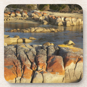 Orange Lichen on Rocks, Binalong Bay, Bay of Getränkeuntersetzer