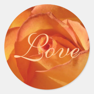 Orange Liebe Rose Aufkleber