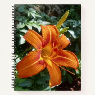 Orange Lilie Grüne Blätter Blumen Foto Journal Notizblock