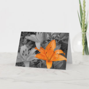 Orange Lilie Hand-Farbig Karte