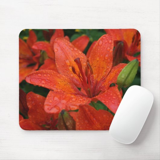 Orange Lilie Mousepad (Mit Mouse)