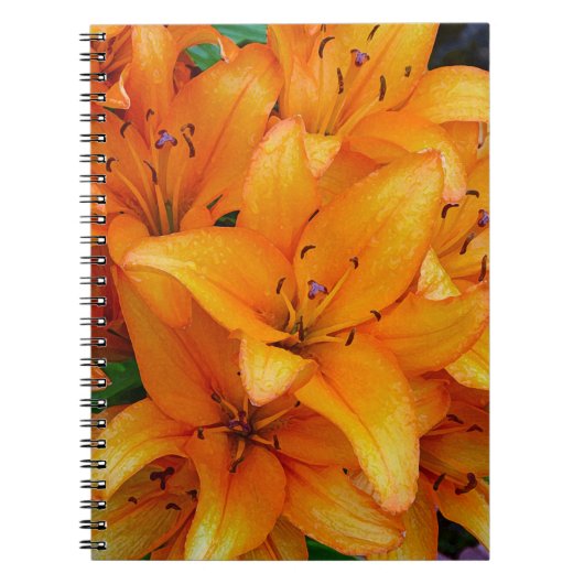 Orange Lilien Blume Design Notebook Notizblock (Vorderseite)