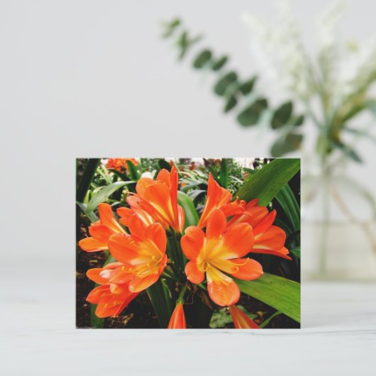 Orange Lilien Blume @ Funchal, Portugal Postkarte (Stehend Vorderseite)