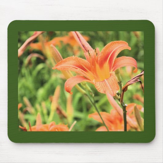 Orange Lilies Dark Green Border Mousepad (Vorne)
