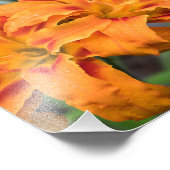 Orange Lilies Fotodruck (Ecke)