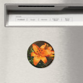 Orange Lilies Magnet (In Situ (Geschirrspüler))