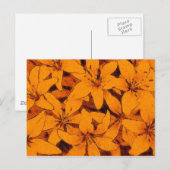Orange Lilies Postcard Postkarte (Vorne/Hinten)