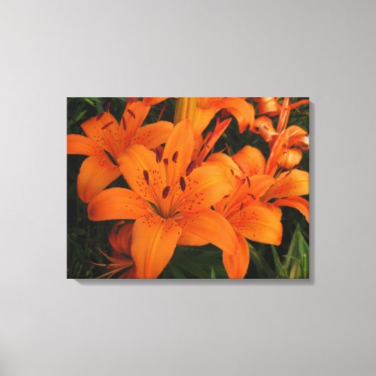 Orange Lilies Wrapped Canvas Leinwanddruck (Vorderseite)