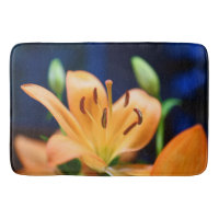 Orange Lilly Blume Blosso