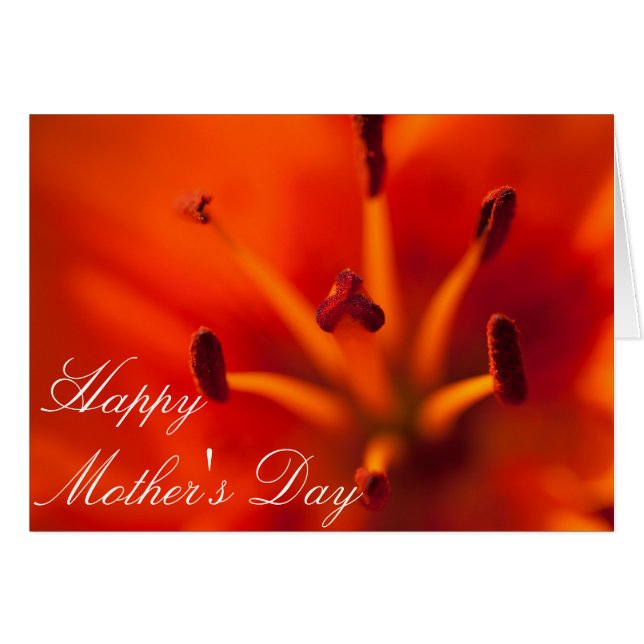 Orange Lilly Mother's Day Card (Vorderseite (Horizontal))